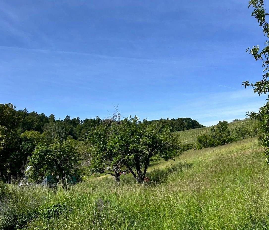 Predaj bytu 2-izbový 65 m², Weinstadt, Bádensko-Wurttembersko Predaj bytu 2-izbový 65 m², Weinstadt, Bádensko-Wurttembersko
