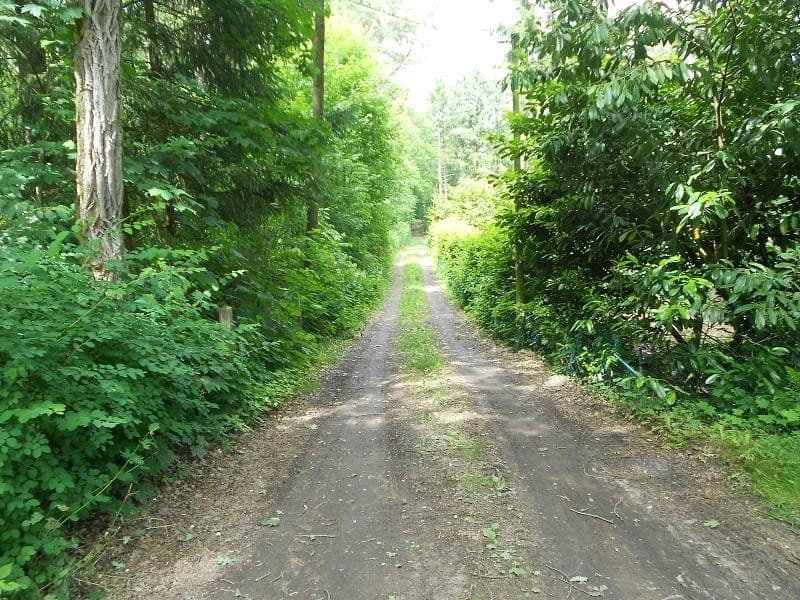 Predaj pozemku 2.060 m², Alter Postweg 137, Neu Wulmstorf, Dolné Sasko Predaj pozemku 2.060 m², Alter Postweg 137, Neu Wulmstorf, Dolné Sasko