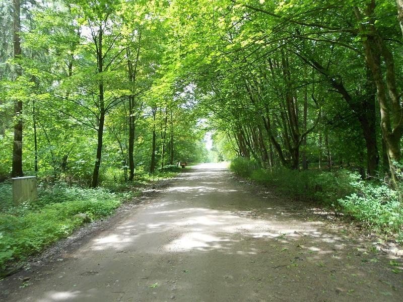 Predaj pozemku 2.060 m², Alter Postweg 137, Neu Wulmstorf, Dolné Sasko Predaj pozemku 2.060 m², Alter Postweg 137, Neu Wulmstorf, Dolné Sasko