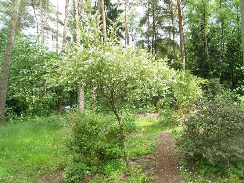 Predaj pozemku 2.060 m², Alter Postweg 137, Neu Wulmstorf, Dolné Sasko Predaj pozemku 2.060 m², Alter Postweg 137, Neu Wulmstorf, Dolné Sasko
