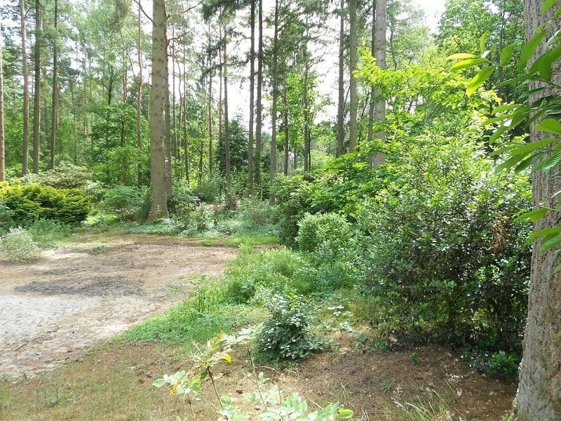 Predaj pozemku 2.060 m², Alter Postweg 137, Neu Wulmstorf, Dolné Sasko Predaj pozemku 2.060 m², Alter Postweg 137, Neu Wulmstorf, Dolné Sasko