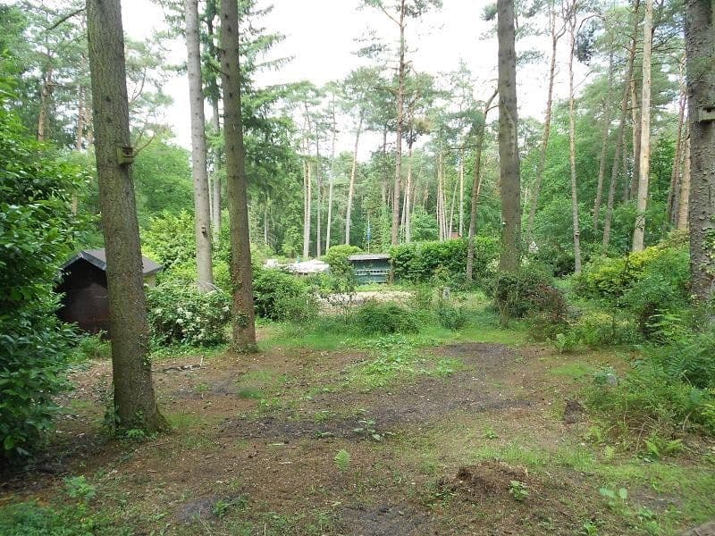 Predaj pozemku 2.060 m², Alter Postweg 137, Neu Wulmstorf, Dolné Sasko Predaj pozemku 2.060 m², Alter Postweg 137, Neu Wulmstorf, Dolné Sasko