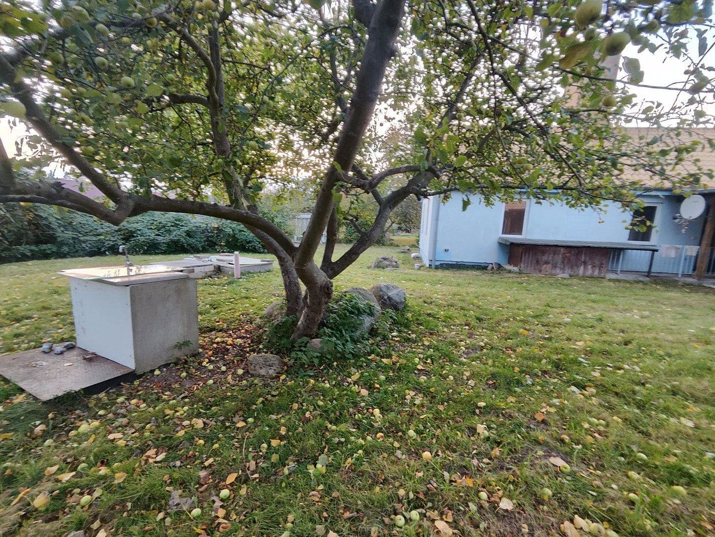 Predaj domu 330 m², pozemek 1.604 m², Putbus, Meklenbursko-Predpomoransko Predaj domu 330 m², pozemek 1.604 m², Putbus, Meklenbursko-Predpomoransko