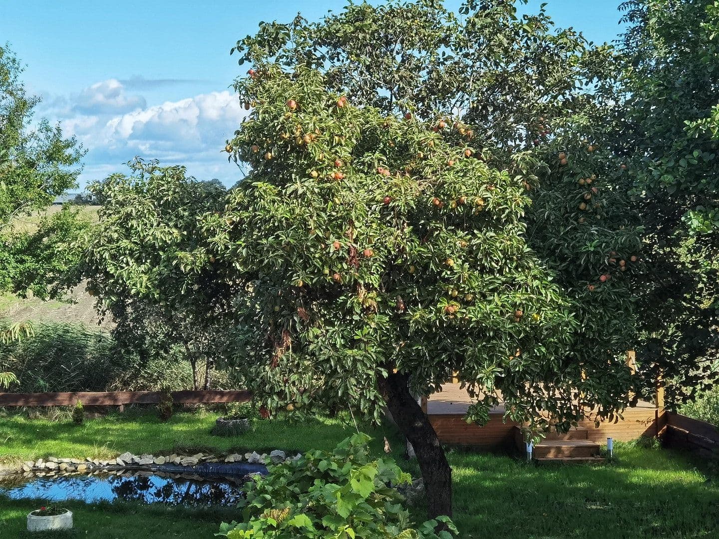 Predaj domu 243 m², pozemek 1.238 m², Nordleda, Dolné Sasko Predaj domu 243 m², pozemek 1.238 m², Nordleda, Dolné Sasko