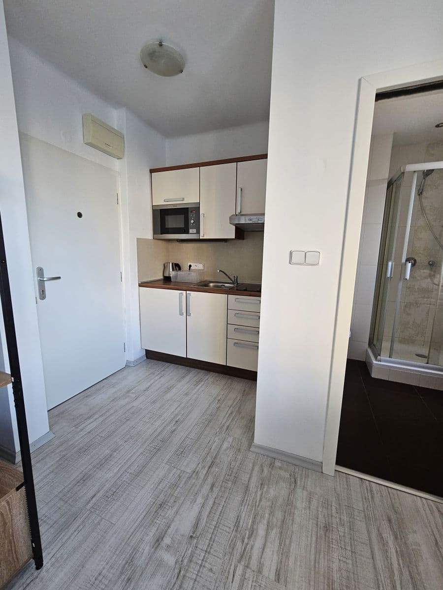 Prenájom bytu 27 m², Vinohradská, Praha, Praha Prenájom bytu 27 m², Vinohradská, Praha, Praha