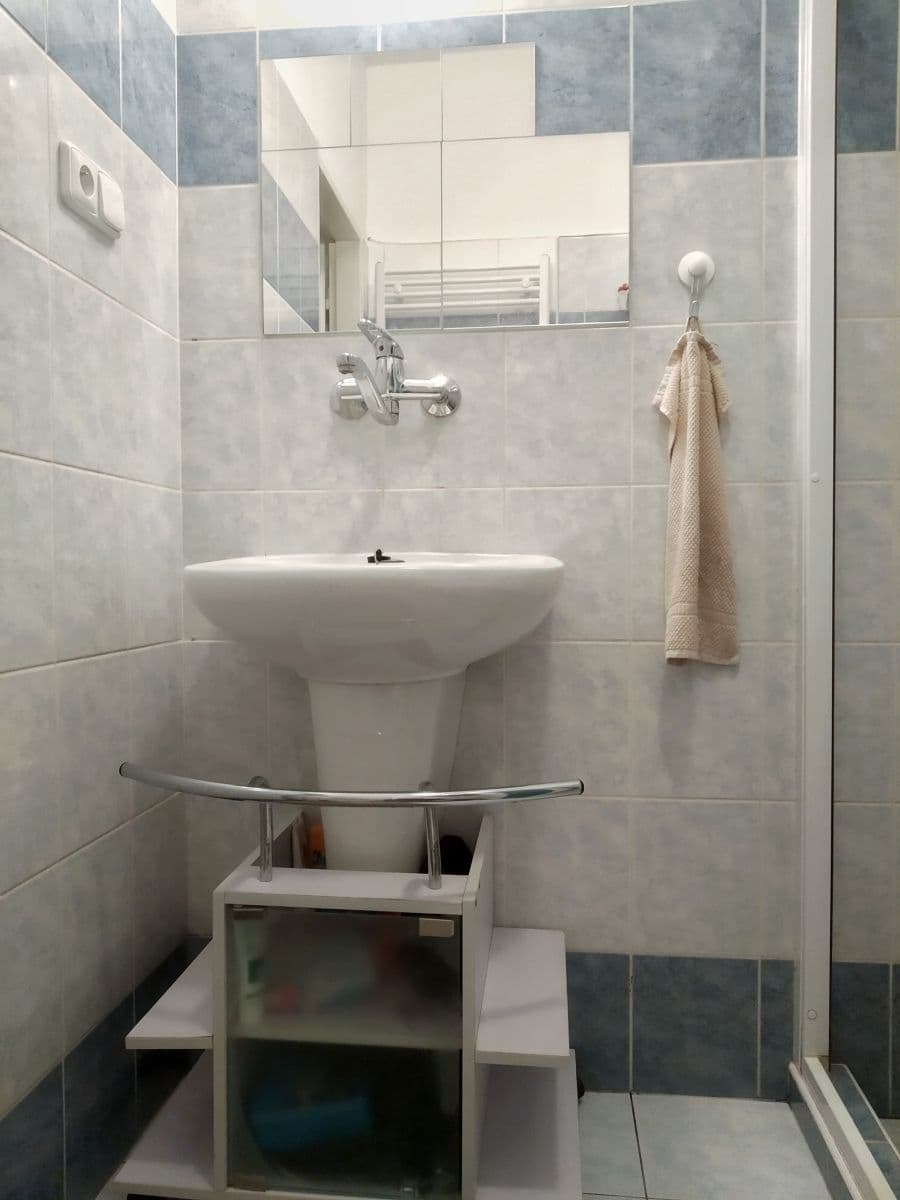 Prenájom bytu 1-izbový 38 m², Ruská, Praha, Praha Prenájom bytu 1-izbový 38 m², Ruská, Praha, Praha
