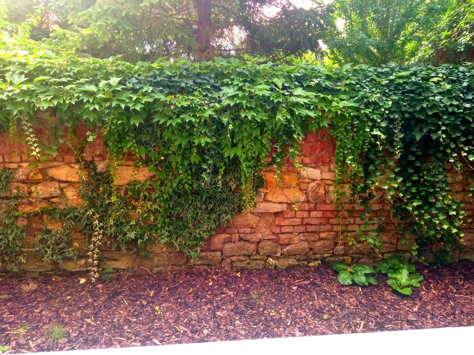 Prenájom bytu 1-izbový 38 m², Ruská, Praha, Praha Prenájom bytu 1-izbový 38 m², Ruská, Praha, Praha