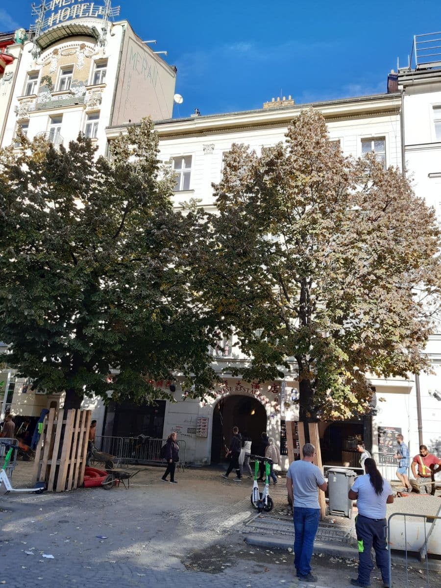 Prenájom bytu 1-izbový 51 m², Václavské náměstí, Praha, Praha Prenájom bytu 1-izbový 51 m², Václavské náměstí, Praha, Praha