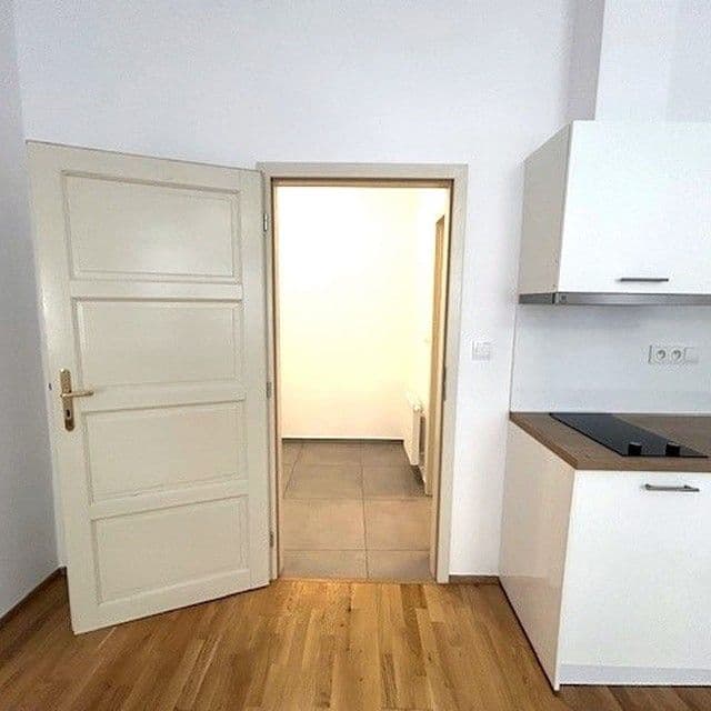 Prenájom bytu 1-izbový 24 m², Mlynářská, Praha, Praha Prenájom bytu 1-izbový 24 m², Mlynářská, Praha, Praha