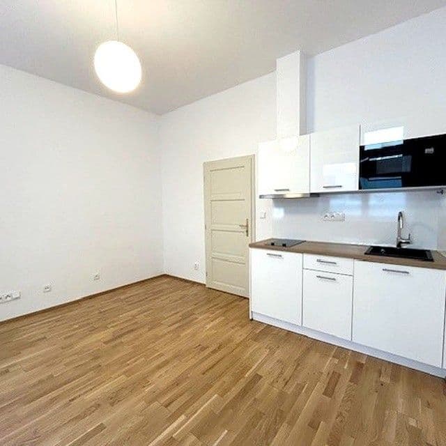 Prenájom bytu 1-izbový 24 m², Mlynářská, Praha, Praha Prenájom bytu 1-izbový 24 m², Mlynářská, Praha, Praha