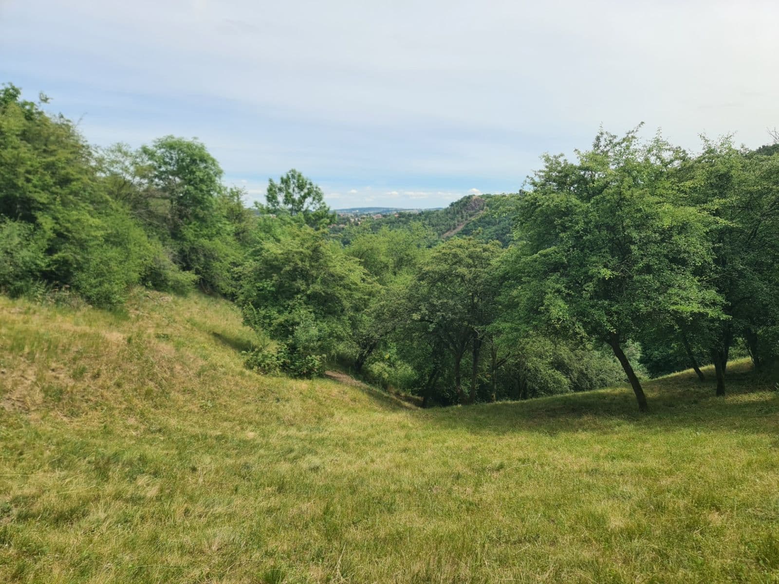 Predaj pozemku 6.900 m², Úholičky, Středočeský kraj Predaj pozemku 6.900 m², Úholičky, Středočeský kraj