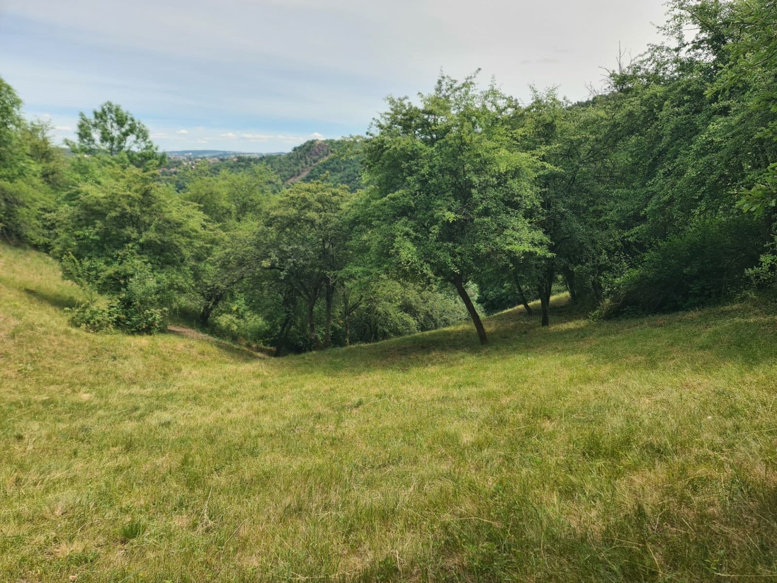 Predaj pozemku 6.900 m², Úholičky, Středočeský kraj Predaj pozemku 6.900 m², Úholičky, Středočeský kraj