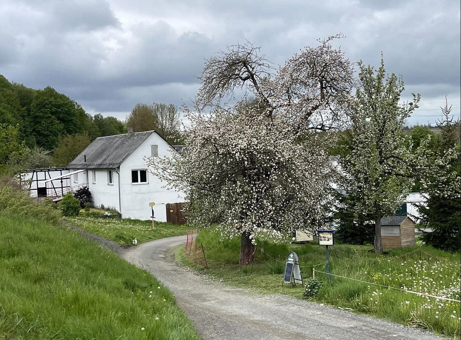 Predaj domu 393 m², pozemek 32.368 m², Schleiz, Durínsko Predaj domu 393 m², pozemek 32.368 m², Schleiz, Durínsko