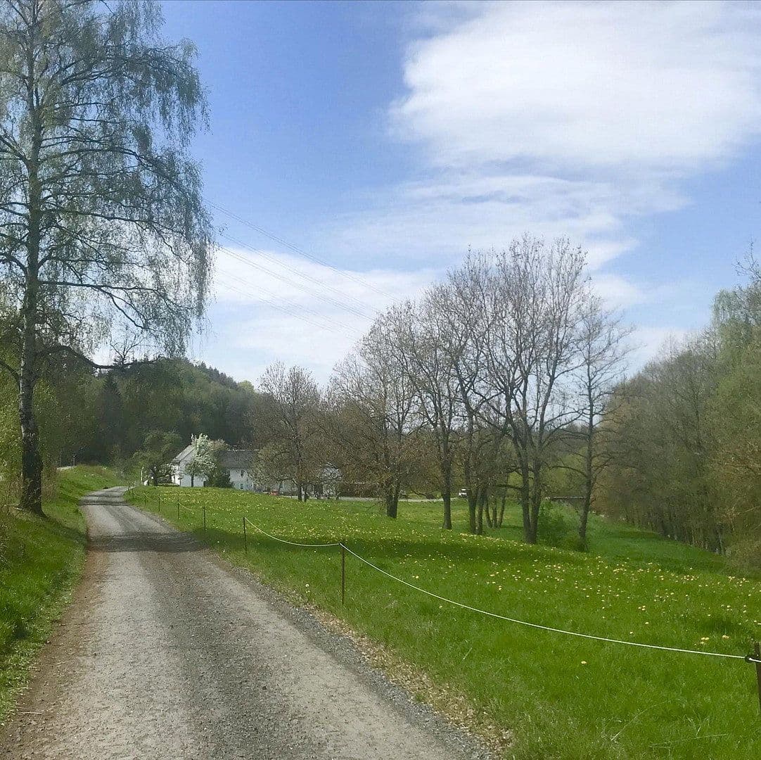 Predaj domu 393 m², pozemek 32.368 m², Schleiz, Durínsko Predaj domu 393 m², pozemek 32.368 m², Schleiz, Durínsko