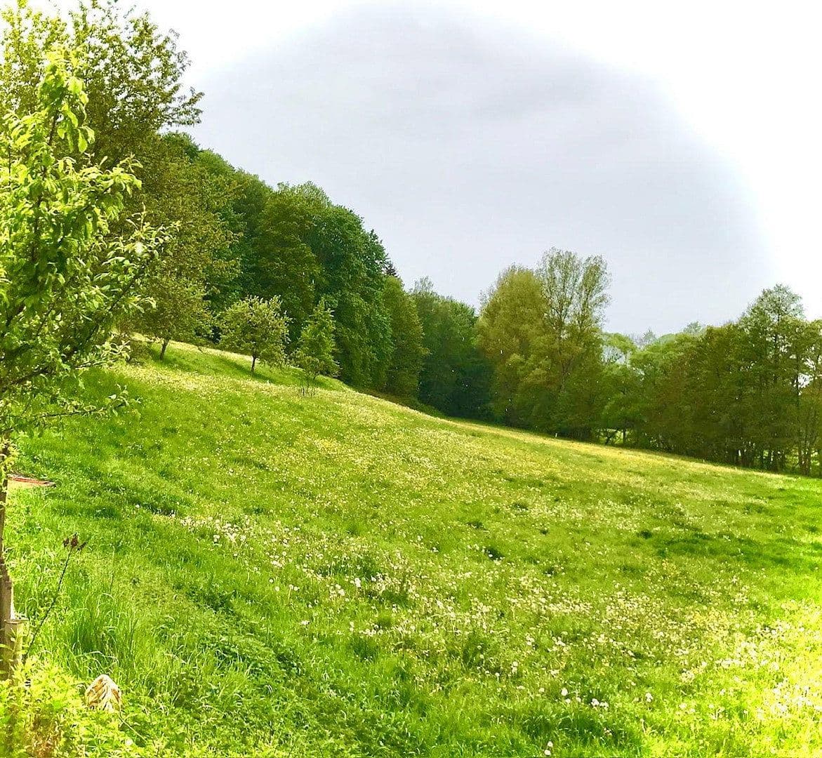 Predaj domu 393 m², pozemek 32.368 m², Schleiz, Durínsko Predaj domu 393 m², pozemek 32.368 m², Schleiz, Durínsko