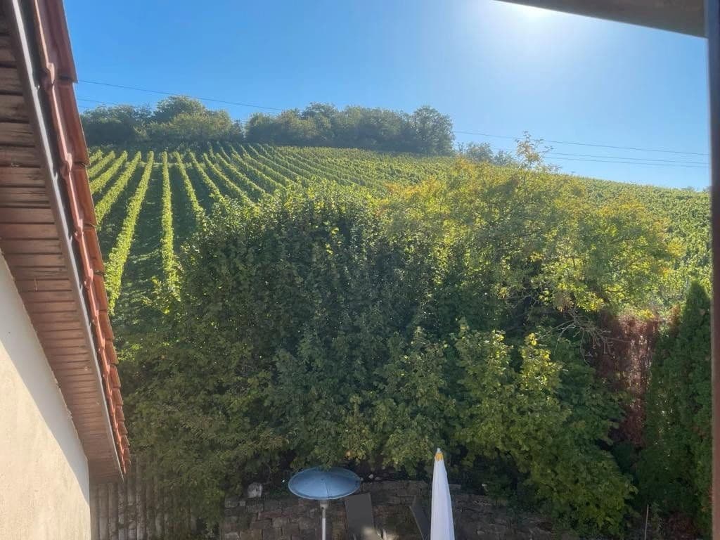 Predaj domu 180 m², pozemek 624 m², Sommerhausen, Bavorsko Predaj domu 180 m², pozemek 624 m², Sommerhausen, Bavorsko