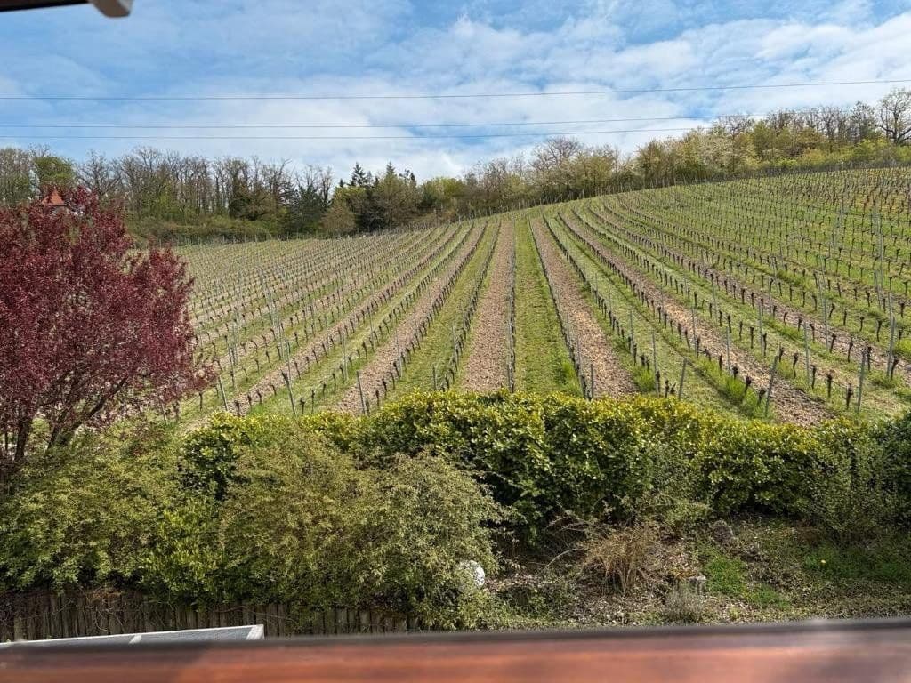 Predaj domu 180 m², pozemek 624 m², Sommerhausen, Bavorsko Predaj domu 180 m², pozemek 624 m², Sommerhausen, Bavorsko