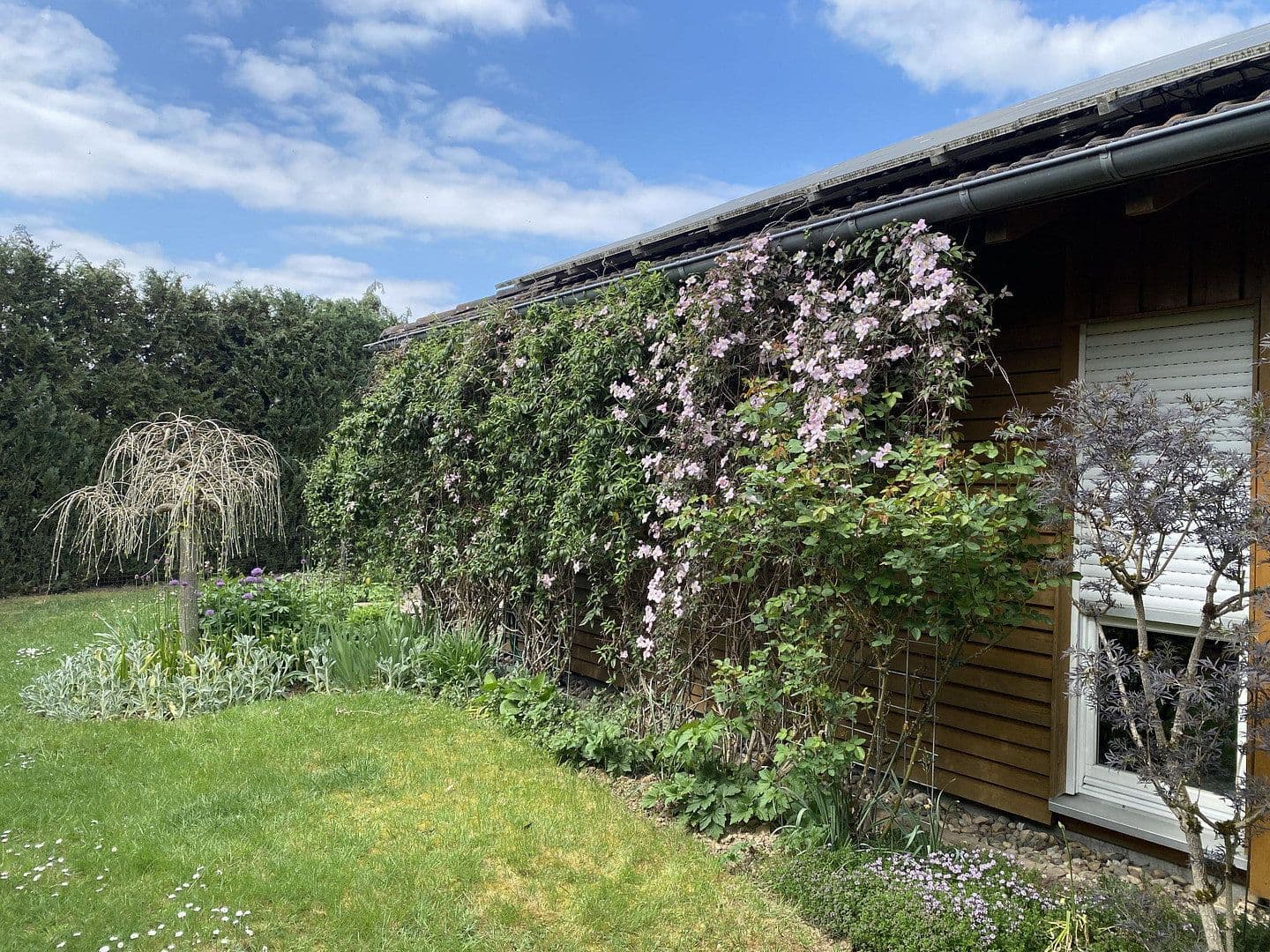 Predaj domu 149 m², pozemek 631 m², Dichtelbach, Porýnie-Falcko Predaj domu 149 m², pozemek 631 m², Dichtelbach, Porýnie-Falcko