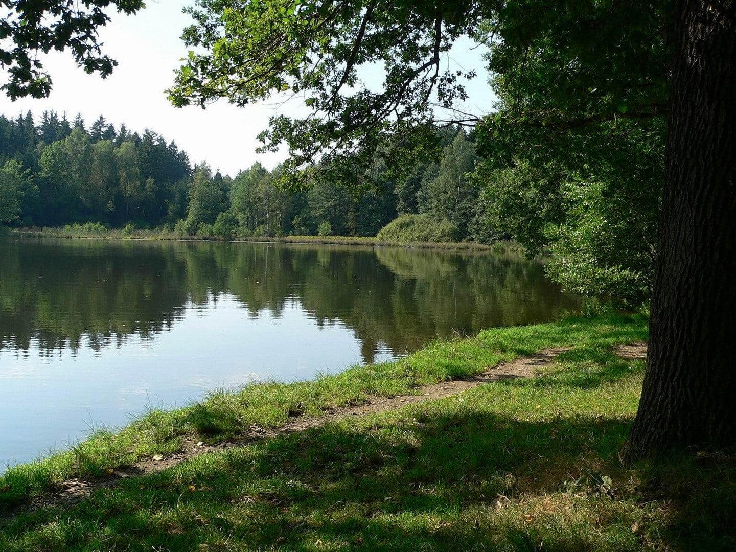 Predaj domu 243 m², pozemek 1.000 m², Zwönitz, Sasko Predaj domu 243 m², pozemek 1.000 m², Zwönitz, Sasko