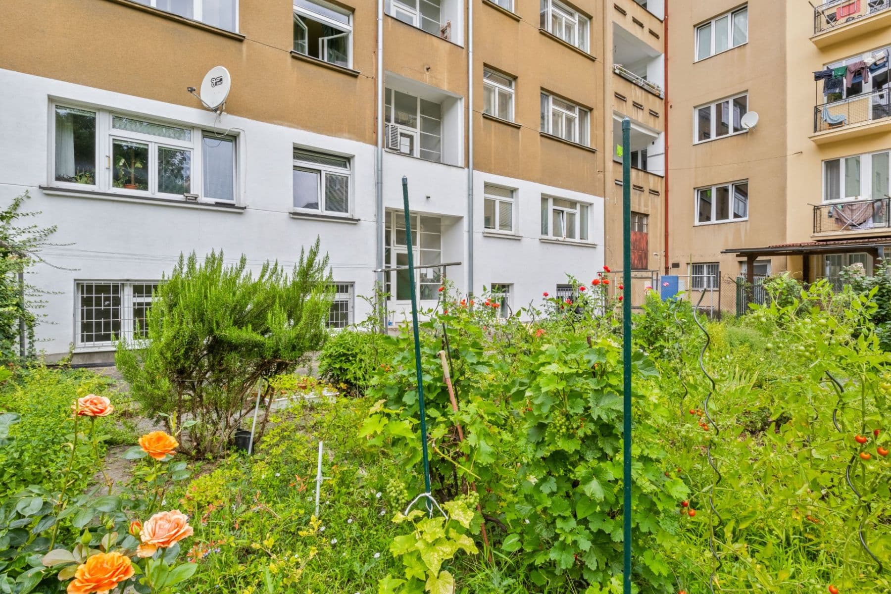 Prenájom bytu 2-izbový 44 m², Podolská, Praha, Praha Prenájom bytu 2-izbový 44 m², Podolská, Praha, Praha