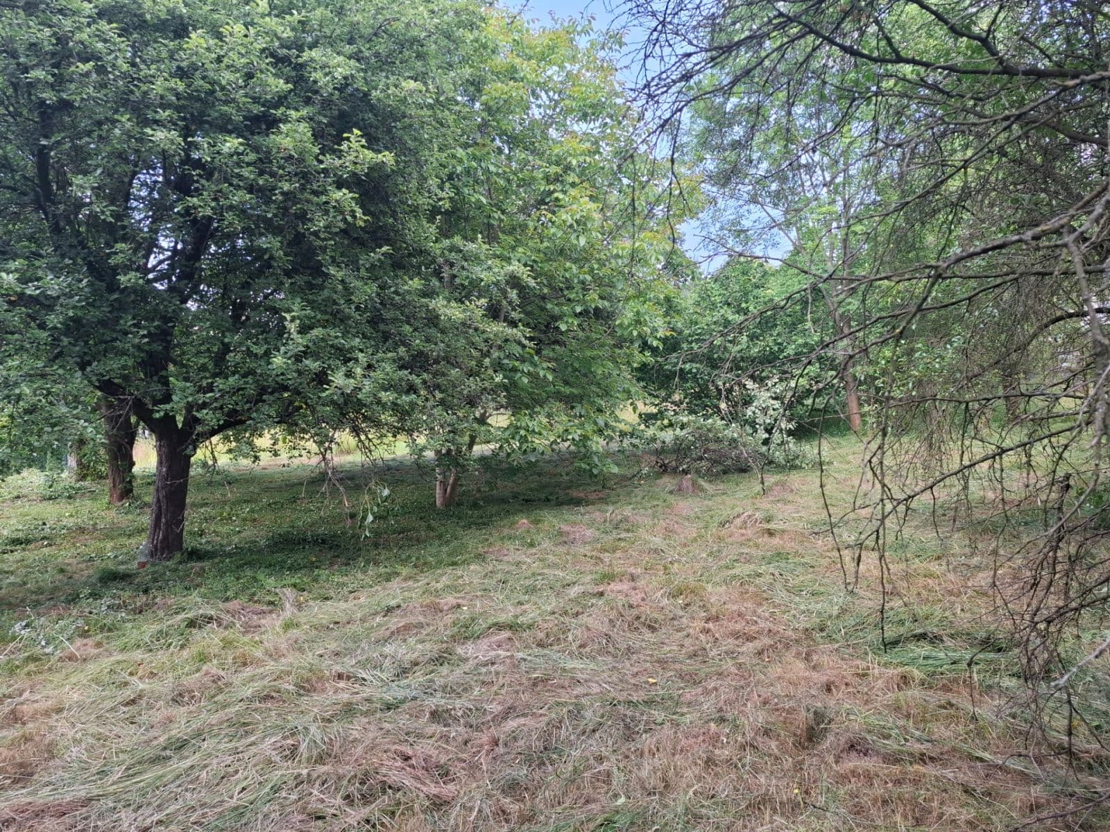 Predaj pozemku 966 m², Ostrava, Moravskoslezský kraj Predaj pozemku 966 m², Ostrava, Moravskoslezský kraj