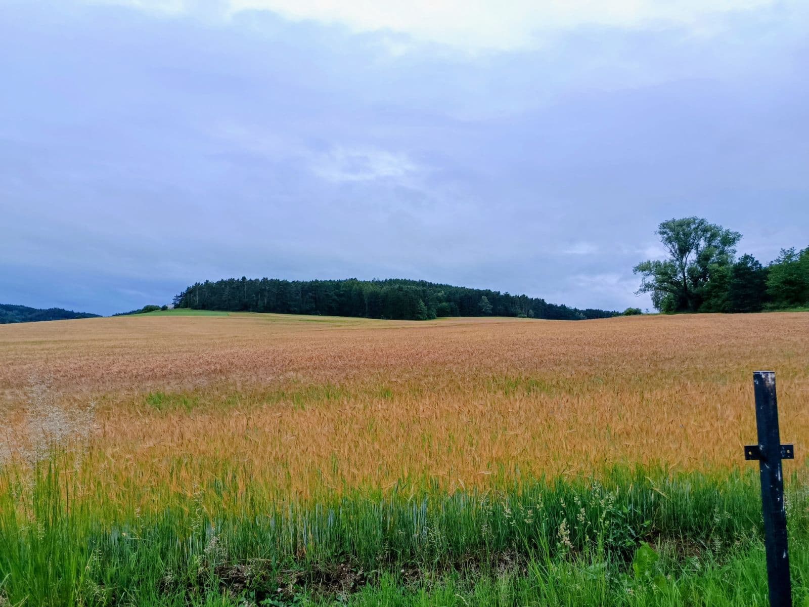 Predaj domu 155 m², pozemek 1.436 m², Sousedovice, Jihočeský kraj Predaj domu 155 m², pozemek 1.436 m², Sousedovice, Jihočeský kraj