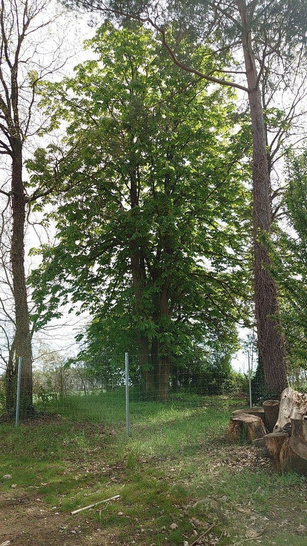 Predaj pozemku 1.864 m², Seubersdorf 19, Dietenhofen, Bavorsko Predaj pozemku 1.864 m², Seubersdorf 19, Dietenhofen, Bavorsko