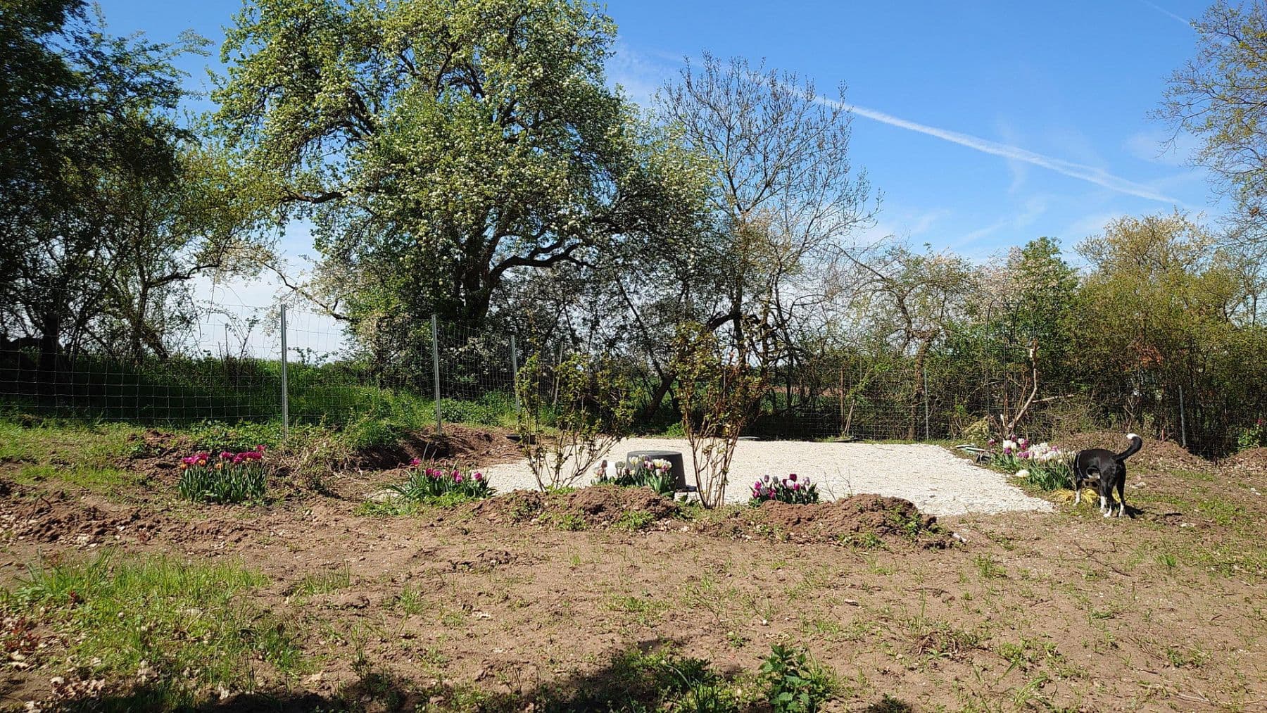 Predaj pozemku 1.864 m², Seubersdorf 19, Dietenhofen, Bavorsko Predaj pozemku 1.864 m², Seubersdorf 19, Dietenhofen, Bavorsko