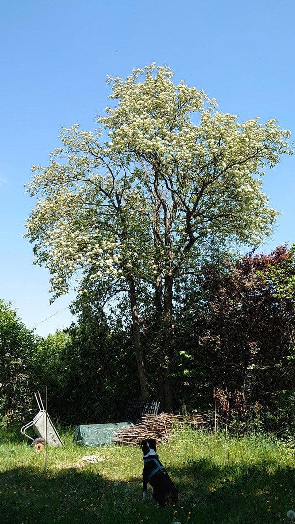 Predaj pozemku 1.864 m², Seubersdorf 19, Dietenhofen, Bavorsko Predaj pozemku 1.864 m², Seubersdorf 19, Dietenhofen, Bavorsko