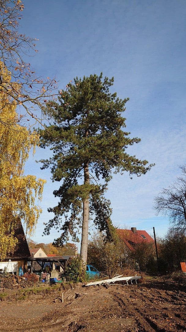 Predaj pozemku 1.864 m², Seubersdorf 19, Dietenhofen, Bavorsko Predaj pozemku 1.864 m², Seubersdorf 19, Dietenhofen, Bavorsko