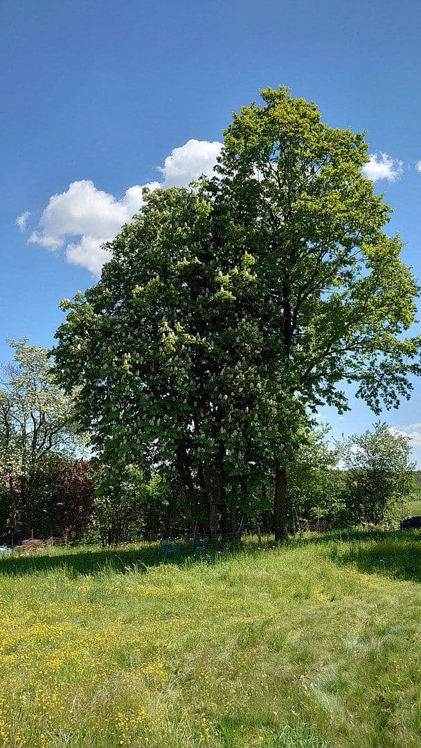 Predaj pozemku 1.864 m², Seubersdorf 19, Dietenhofen, Bavorsko Predaj pozemku 1.864 m², Seubersdorf 19, Dietenhofen, Bavorsko