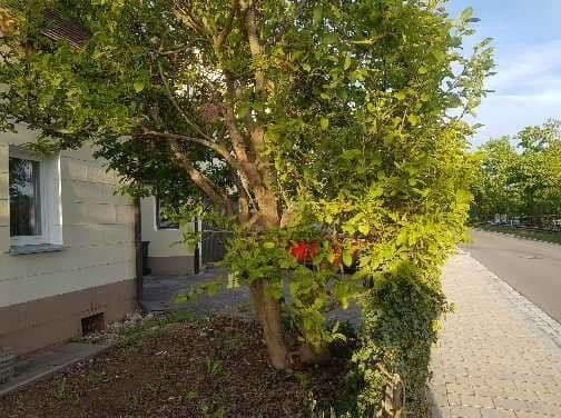 Predaj domu 91 m², pozemek 247 m², Windsbach, Bavorsko Predaj domu 91 m², pozemek 247 m², Windsbach, Bavorsko