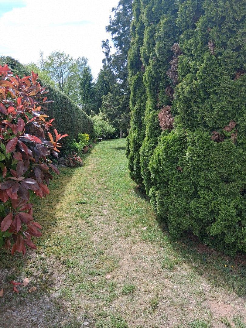 Predaj domu 300 m², pozemek 1.300 m², Mandelbachtal, Sársko Predaj domu 300 m², pozemek 1.300 m², Mandelbachtal, Sársko