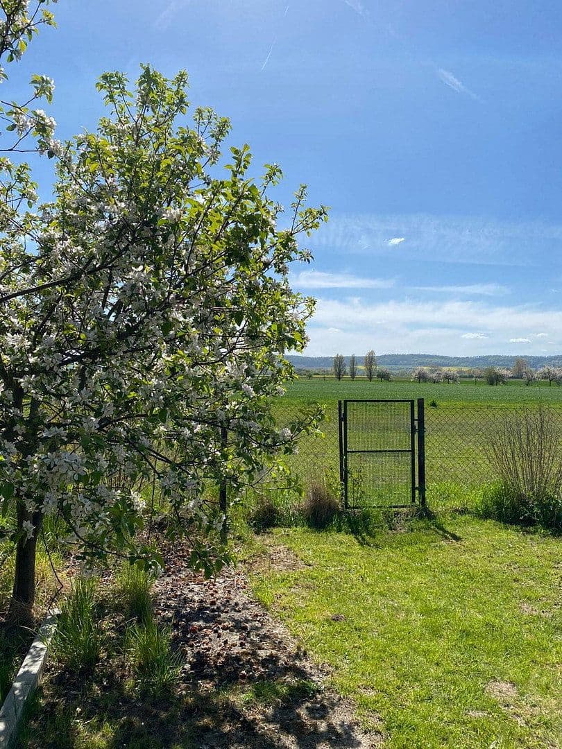 Predaj domu 120 m², pozemek 1.217 m², Siedlerkamp 6, Gronau, Dolné Sasko Predaj domu 120 m², pozemek 1.217 m², Siedlerkamp 6, Gronau, Dolné Sasko