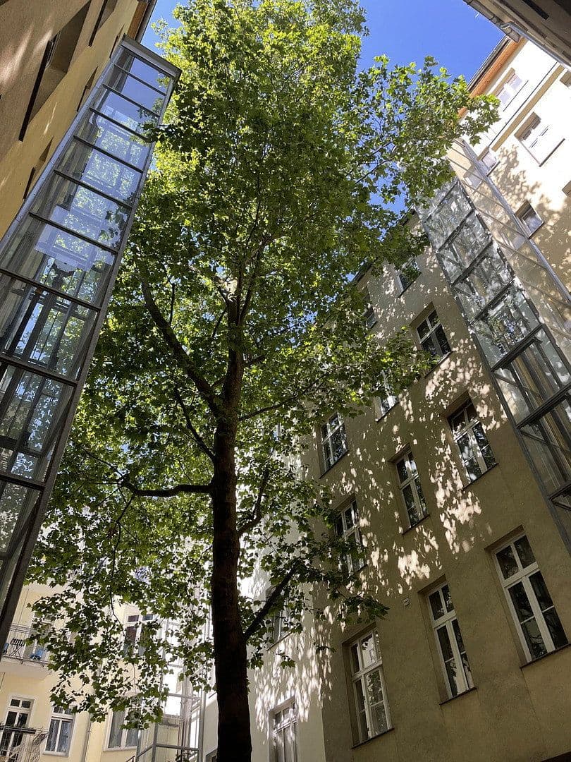 Predaj bytu 1-izbový 52 m², Berlin Prenzlauerberg, Berlín Predaj bytu 1-izbový 52 m², Berlin Prenzlauerberg, Berlín