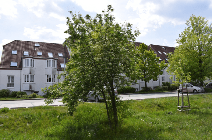 Prenájom bytu 3-izbový 75 m², Veilchenweg 3, Wildau, Brandenbursko Prenájom bytu 3-izbový 75 m², Veilchenweg 3, Wildau, Brandenbursko
