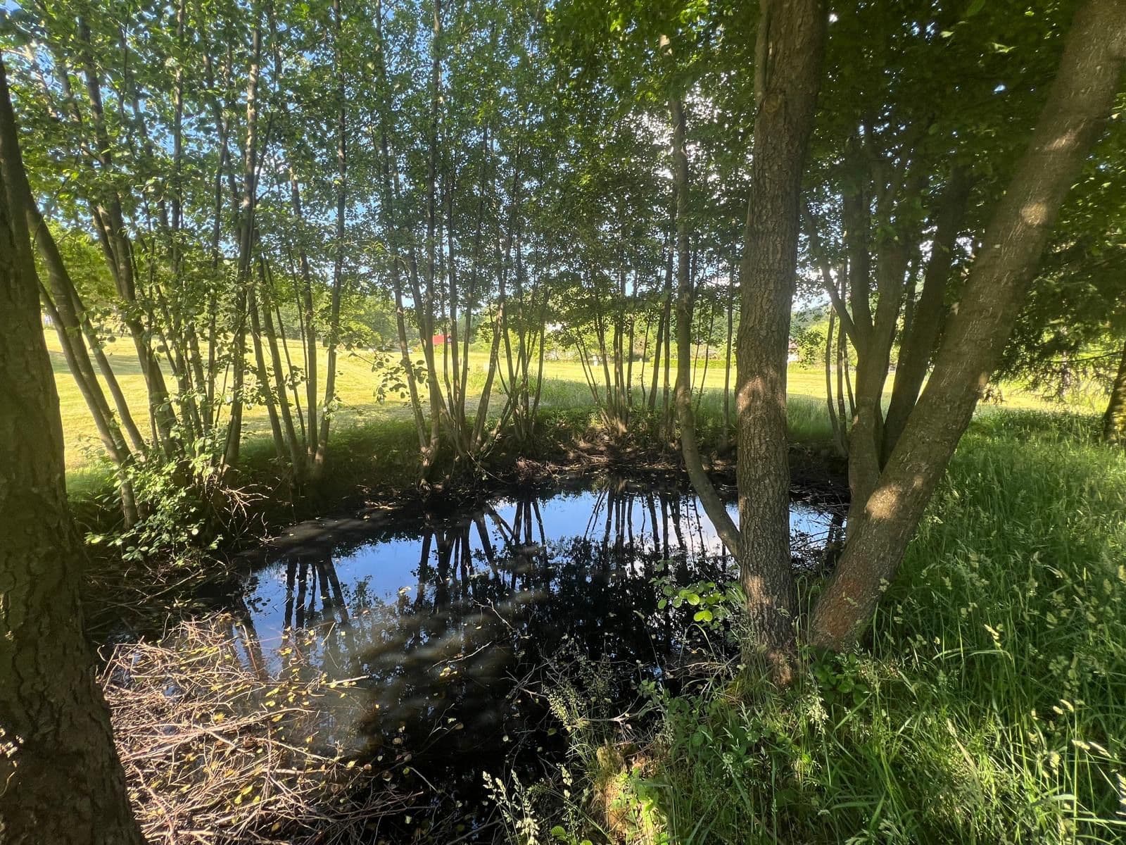 Predaj pozemku 9.000 m², Držková, Zlínský kraj Predaj pozemku 9.000 m², Držková, Zlínský kraj