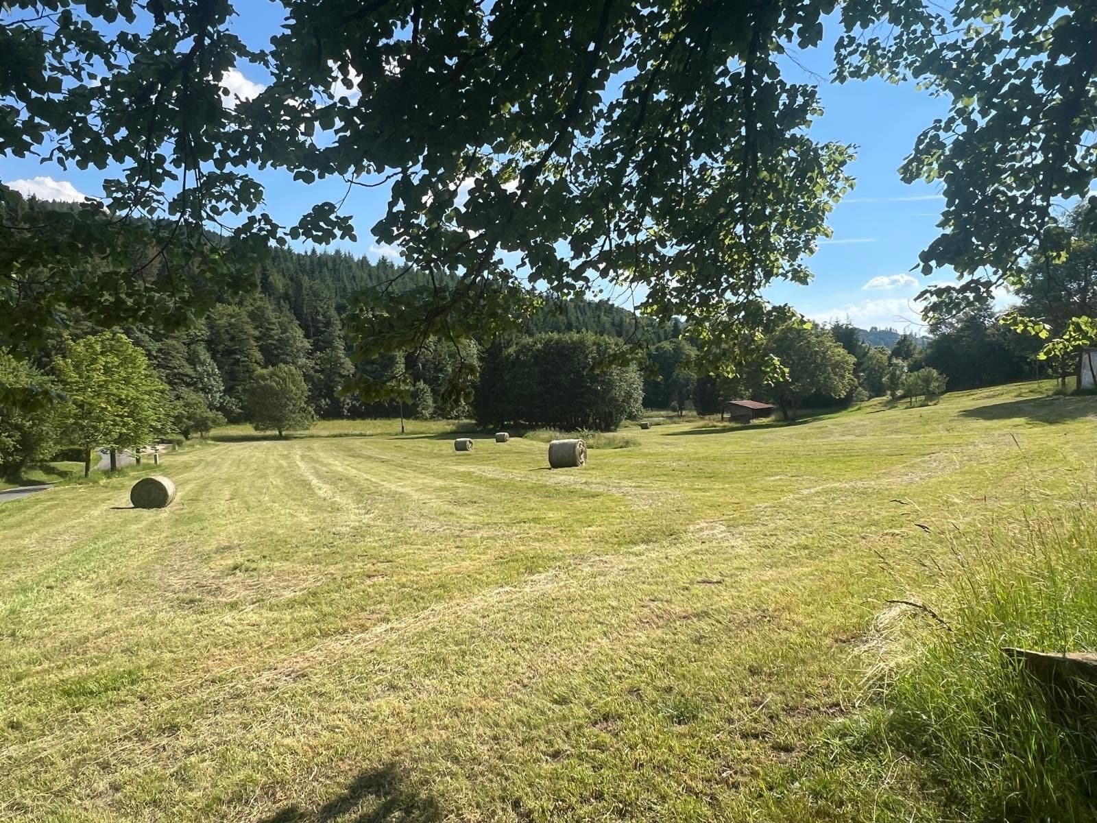 Predaj pozemku 9.000 m², Držková, Zlínský kraj Predaj pozemku 9.000 m², Držková, Zlínský kraj