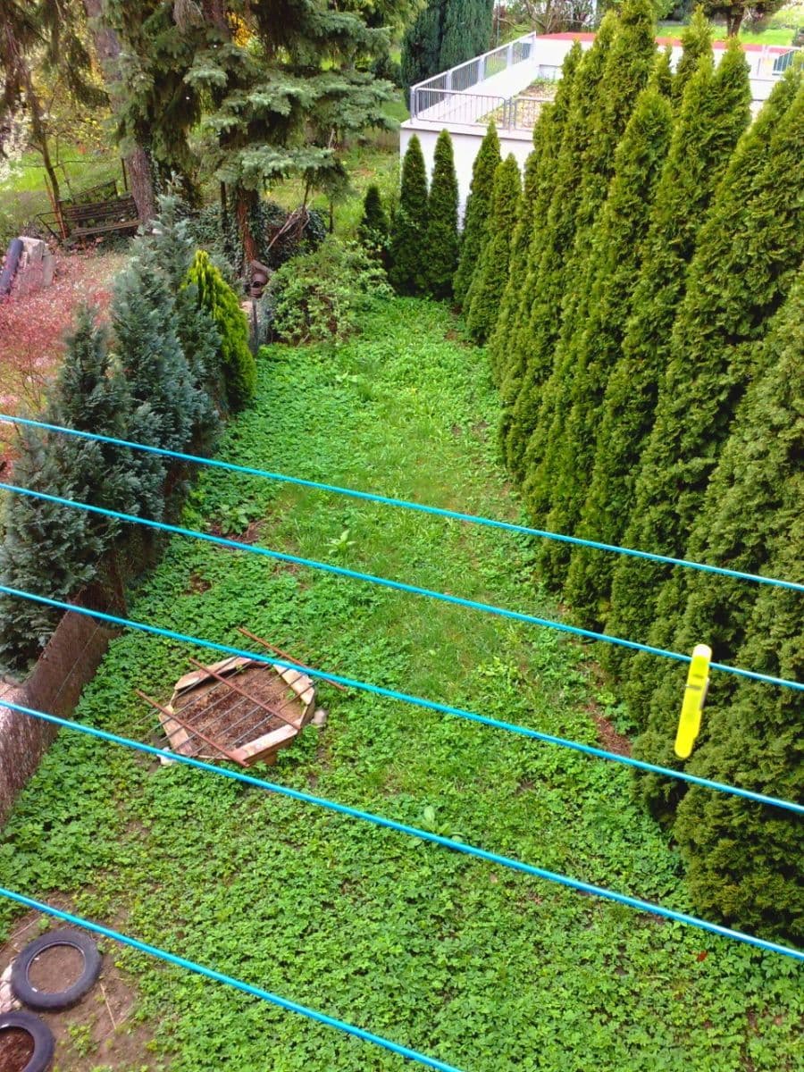 Prenájom bytu 1-izbový 40 m², Karáskovo náměstí, Brno, Jihomoravský kraj Prenájom bytu 1-izbový 40 m², Karáskovo náměstí, Brno, Jihomoravský kraj