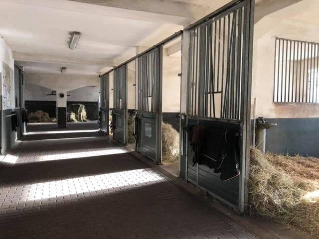 Prenájom rekreačného objektu 63.000 m², Gülzow-Prüzen, Meklenbursko-Predpomoransko Prenájom rekreačného objektu 63.000 m², Gülzow-Prüzen, Meklenbursko-Predpomoransko