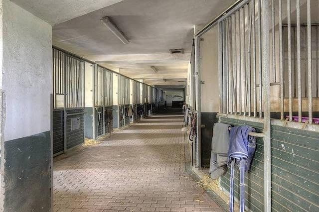 Prenájom rekreačného objektu 63.000 m², Gülzow-Prüzen, Meklenbursko-Predpomoransko Prenájom rekreačného objektu 63.000 m², Gülzow-Prüzen, Meklenbursko-Predpomoransko