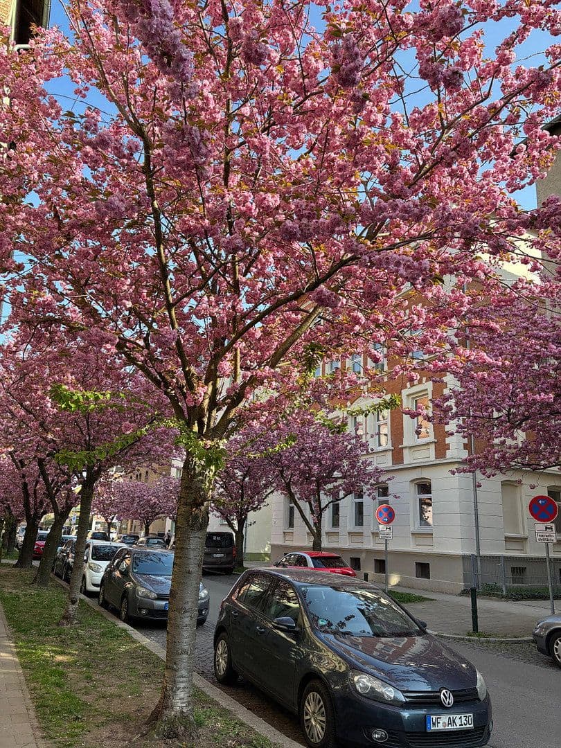 Prenájom bytu 2-izbový 62 m², Braunschweig, Dolné Sasko Prenájom bytu 2-izbový 62 m², Braunschweig, Dolné Sasko