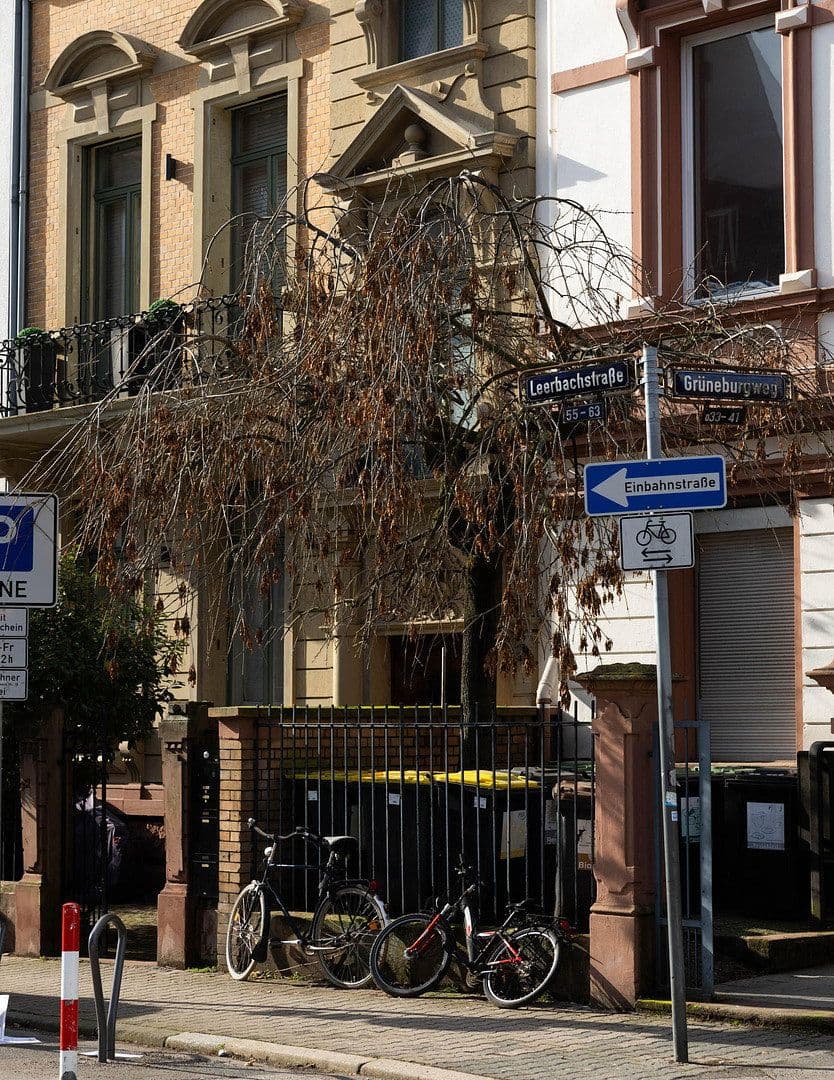 Predaj bytu 4-izbový 90 m², Leerbachstraße 62, Frankfurt, Hesensko Predaj bytu 4-izbový 90 m², Leerbachstraße 62, Frankfurt, Hesensko