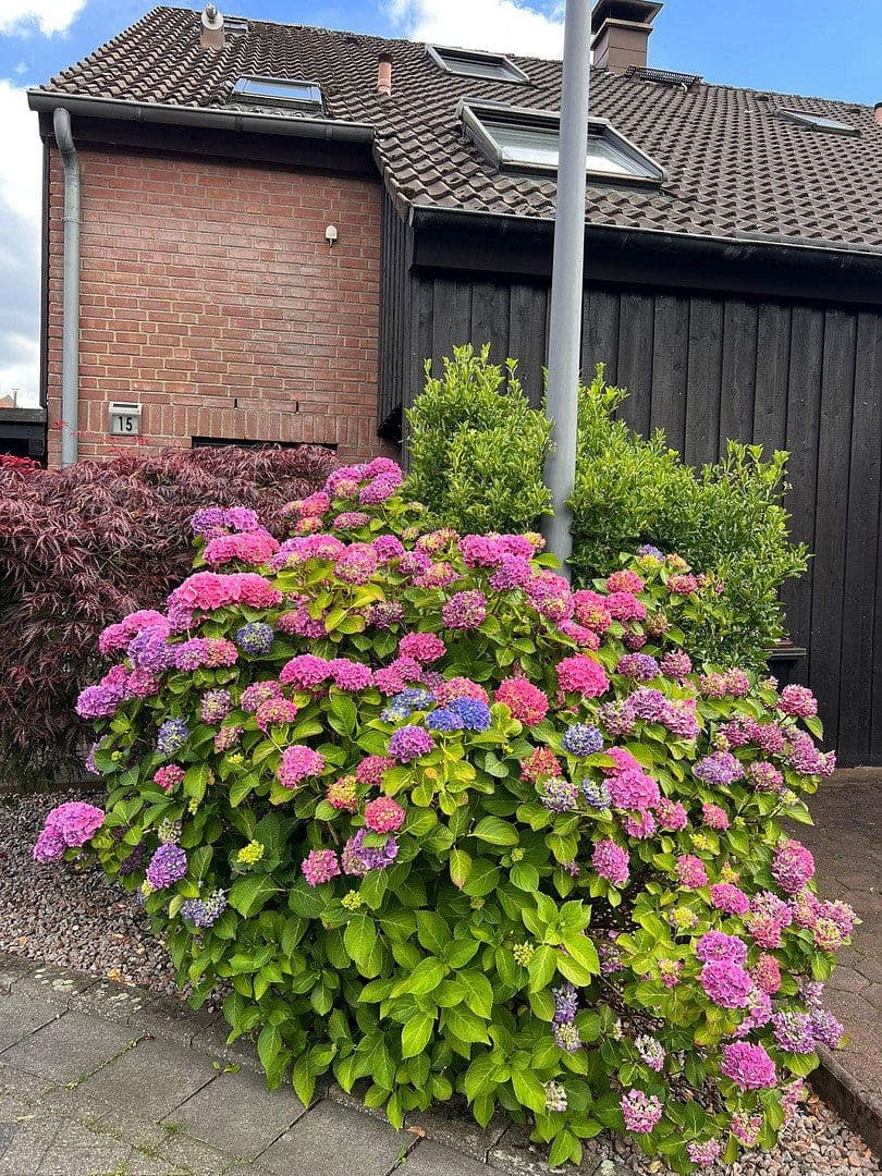 Predaj domu 126 m², pozemek 250 m², Gelsenkirchen, Severné Porýnie - Westfálsko Predaj domu 126 m², pozemek 250 m², Gelsenkirchen, Severné Porýnie - Westfálsko