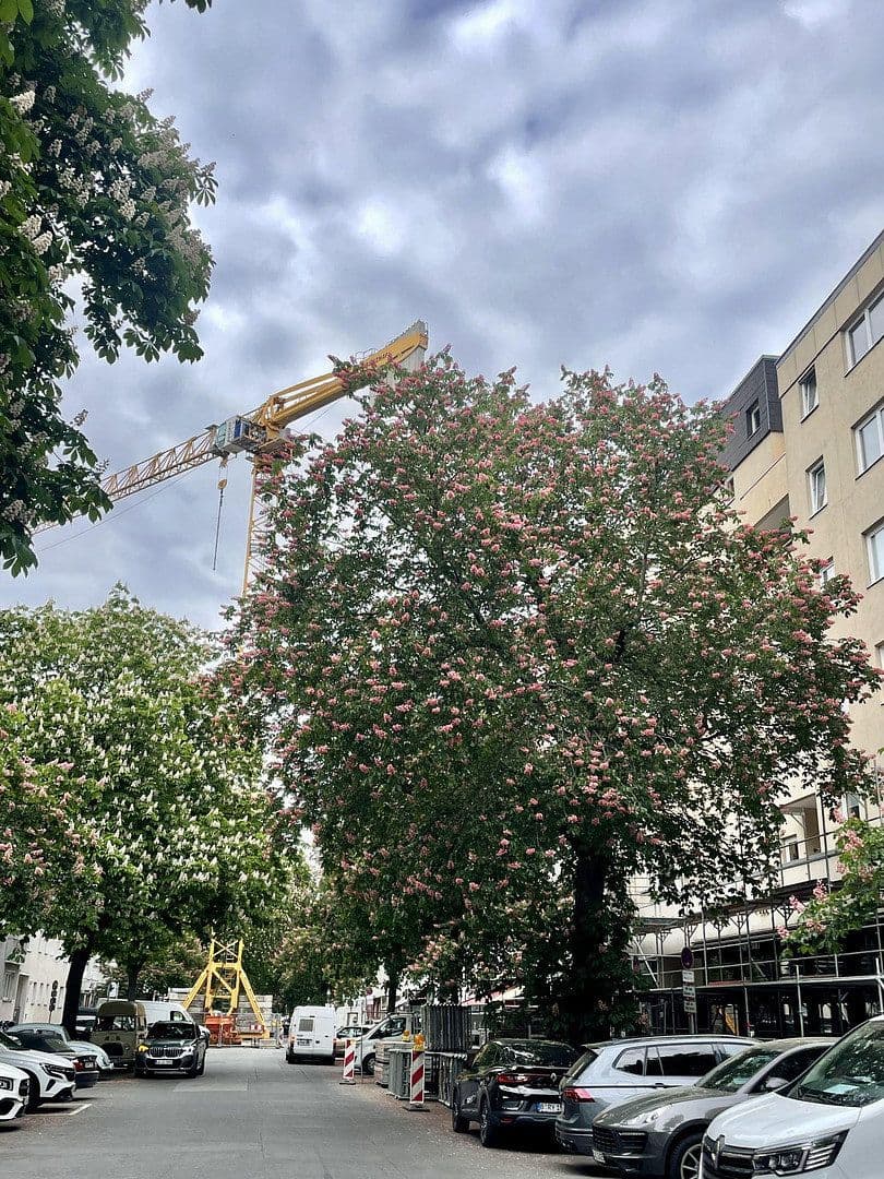 Predaj bytu 2-izbový 51 m², Berlin, Berlín Predaj bytu 2-izbový 51 m², Berlin, Berlín
