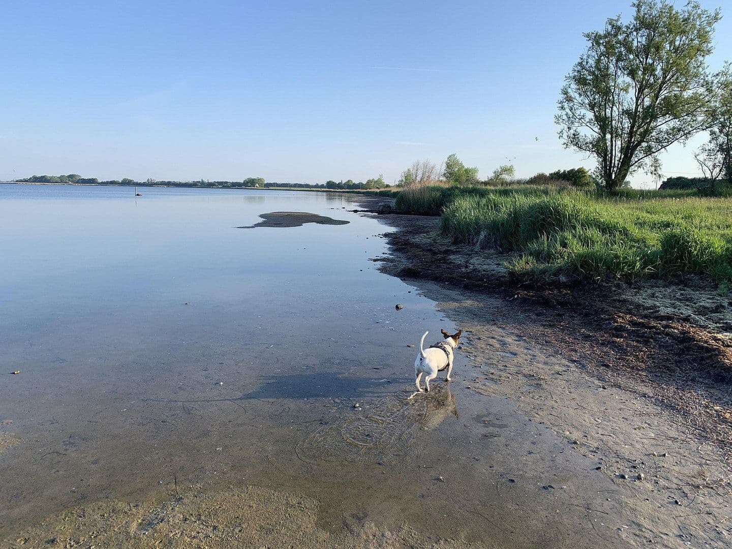 Predaj nebytového priestoru 6.000 m², Poggenhof 25, Schaprode, Meklenbursko-Predpomoransko Predaj nebytového priestoru 6.000 m², Poggenhof 25, Schaprode, Meklenbursko-Predpomoransko
