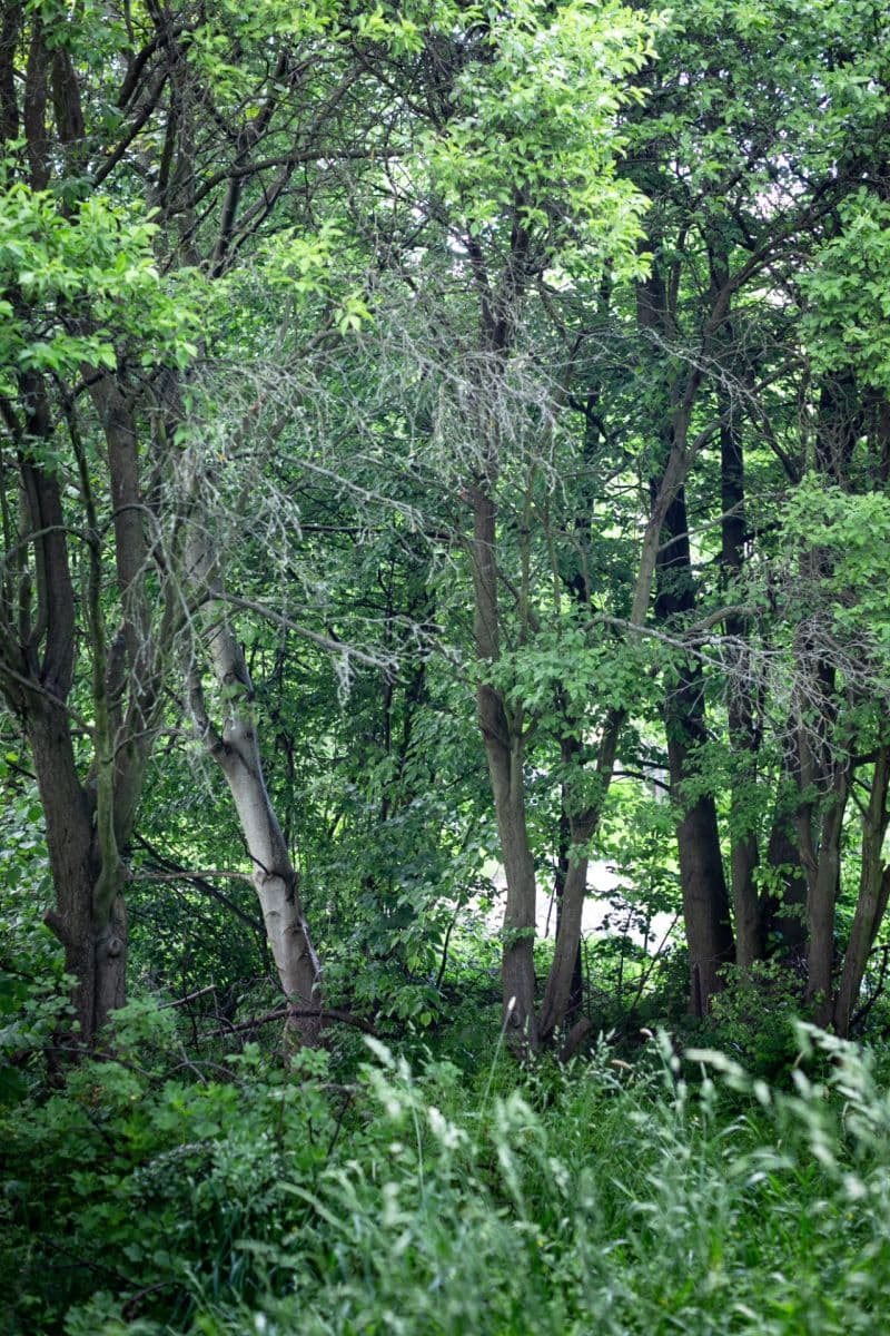 Predaj rekreačného objektu 237 m², pozemek 1.085 m², Březová, Moravskoslezský kraj Predaj rekreačného objektu 237 m², pozemek 1.085 m², Březová, Moravskoslezský kraj
