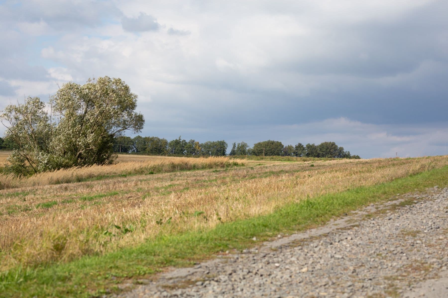 Predaj rekreačného objektu 237 m², pozemek 1.085 m², Březová, Moravskoslezský kraj Predaj rekreačného objektu 237 m², pozemek 1.085 m², Březová, Moravskoslezský kraj