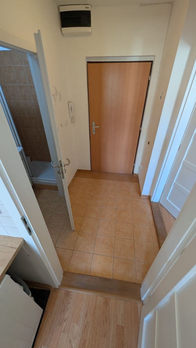 Prenájom bytu 1-izbový 36 m², Žerotínova, Praha, Praha Prenájom bytu 1-izbový 36 m², Žerotínova, Praha, Praha