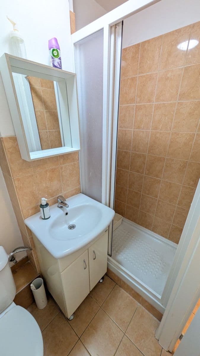 Prenájom bytu 1-izbový 36 m², Žerotínova, Praha, Praha Prenájom bytu 1-izbový 36 m², Žerotínova, Praha, Praha